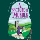 A Picture of Murder Audiobook