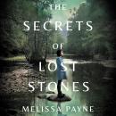 The Secrets of Lost Stones Audiobook