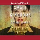 Small Kingdoms & Other Stories Audiobook