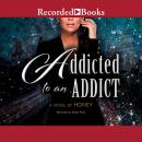 Addicted to an Addict Audiobook