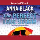 The Perfect Love Storm Audiobook