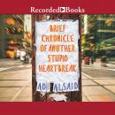 Brief Chronicle of Another Stupid Heartbreak Audiobook