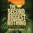 The Second Biggest Nothing Audiobook