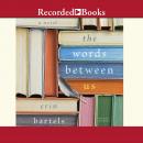 The Words Between Us Audiobook