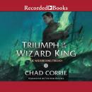 Triumph of the Wizard King Audiobook