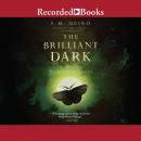 The Brilliant Dark Audiobook