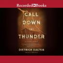 Call Down the Thunder: A Crime Novel Audiobook