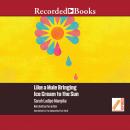 Like a Mule Bringing Ice Cream to the Sun Audiobook