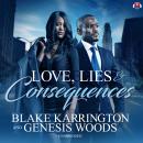 Love, Lies, and Consequences Audiobook