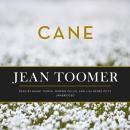 Cane Audiobook