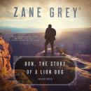 Don, the Story of a Lion Dog Audiobook
