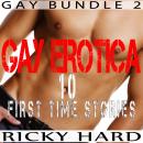 Gay Erotica - 10 First Time Stories (Gay Bundle Book 2) Audiobook
