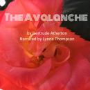 The Avalanche Audiobook