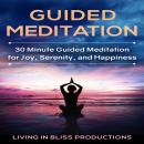 Guided Meditation: 30 Minute Guided Meditation For Joy, Serenity, And Happiness Audiobook