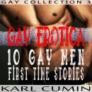 Gay Erotica – 10 Gay Men First Time Stories (Gay Collection Book 3) Audiobook