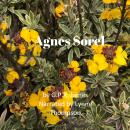 Agnes Sorel Audiobook