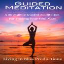 Guided Meditation: A 30 Minute Guided Mediation For Finding Your Soul Mate Audiobook