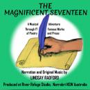 The Magnificent Seventeen. Audiobook