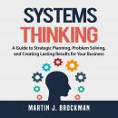 Systems Thinking: A Guide to Strategic Planning, Problem Solving, and Creating Lasting Results for Y Audiobook