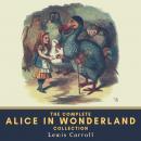 The Complete Alice in Wonderland Collection Audiobook