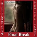 Final Break, An Erotic Lesbian Romance (The Ellis Chronicles - book 7) Audiobook