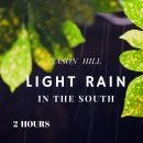 Light Rain in the South Audiobook