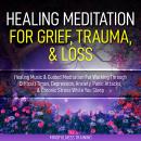 Healing Meditation for Grief, Trauma, & Loss: Healing Music & Guided Meditation For Working Through  Audiobook