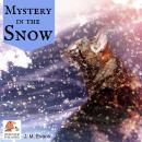 Mystery in the Snow Audiobook