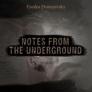 Notes from the Underground Audiobook