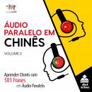 Áudio Paralelo em Chinês - Aprender Chinês com 501 Frases em Áudio Paralelo - Volume 2 Audiobook
