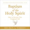 Baptism of the Holy Spirit Audiobook