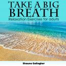 Take A Big Breath For Adults Audiobook