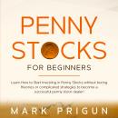 Penny Stocks For Beginners: Learn How to Start Investing in Penny Stocks without Boring Theories or  Audiobook