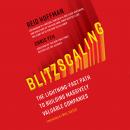 Blitzscaling: The Lightning-Fast Path to Building Massively Valuable Companies Audiobook