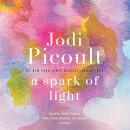 Spark of Light: A Novel, Jodi Picoult