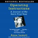 Operating Instructions: A Journal of My Son's First Year Audiobook