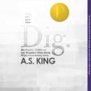 Cover of Dig