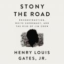 Stony the Road: Reconstruction, White Supremacy, and the Rise of Jim Crow Audiobook