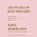The Source of Self-Regard: Selected Essays, Speeches, and Meditations Audiobook