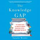 The Knowledge Gap: The hidden cause of America's broken education system--and how to fix it Audiobook