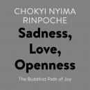 Sadness, Love, Openness: The Buddhist Path of Joy Audiobook
