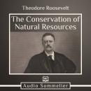 The Conservation of Natural Resources