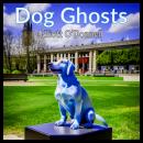 Dog Ghosts Audiobook