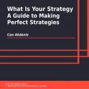 What Is Your Strategy: A Guide to Making Perfect Strategies Audiobook