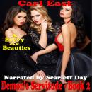 Demon's Servitude 4, 5 and 6 Audiobook