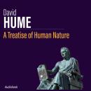 A Treatise of Human Nature Audiobook