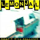 Lemon Jail: On The Road With The Replacements Audiobook