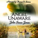 Angel Unaware Audiobook