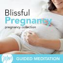 Blissful Pregnancy Audiobook