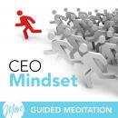 CEO Mindset Audiobook